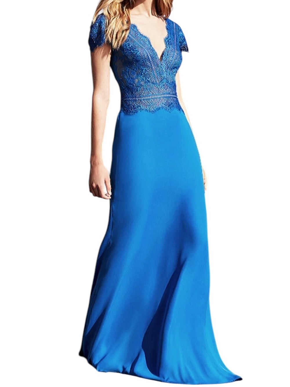 Tadashi Shoji Nolan Scalloped Lace Bodice Gown Maxi Dress Size 14 NWT